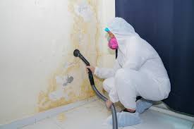 Forensic Mold Investigation in East Richmond Heights, CA